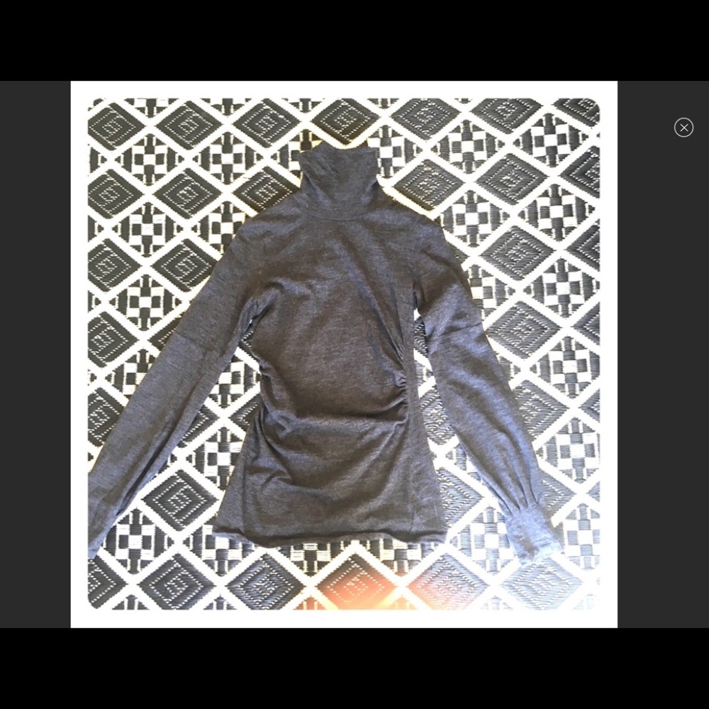 Theory Turtleneck